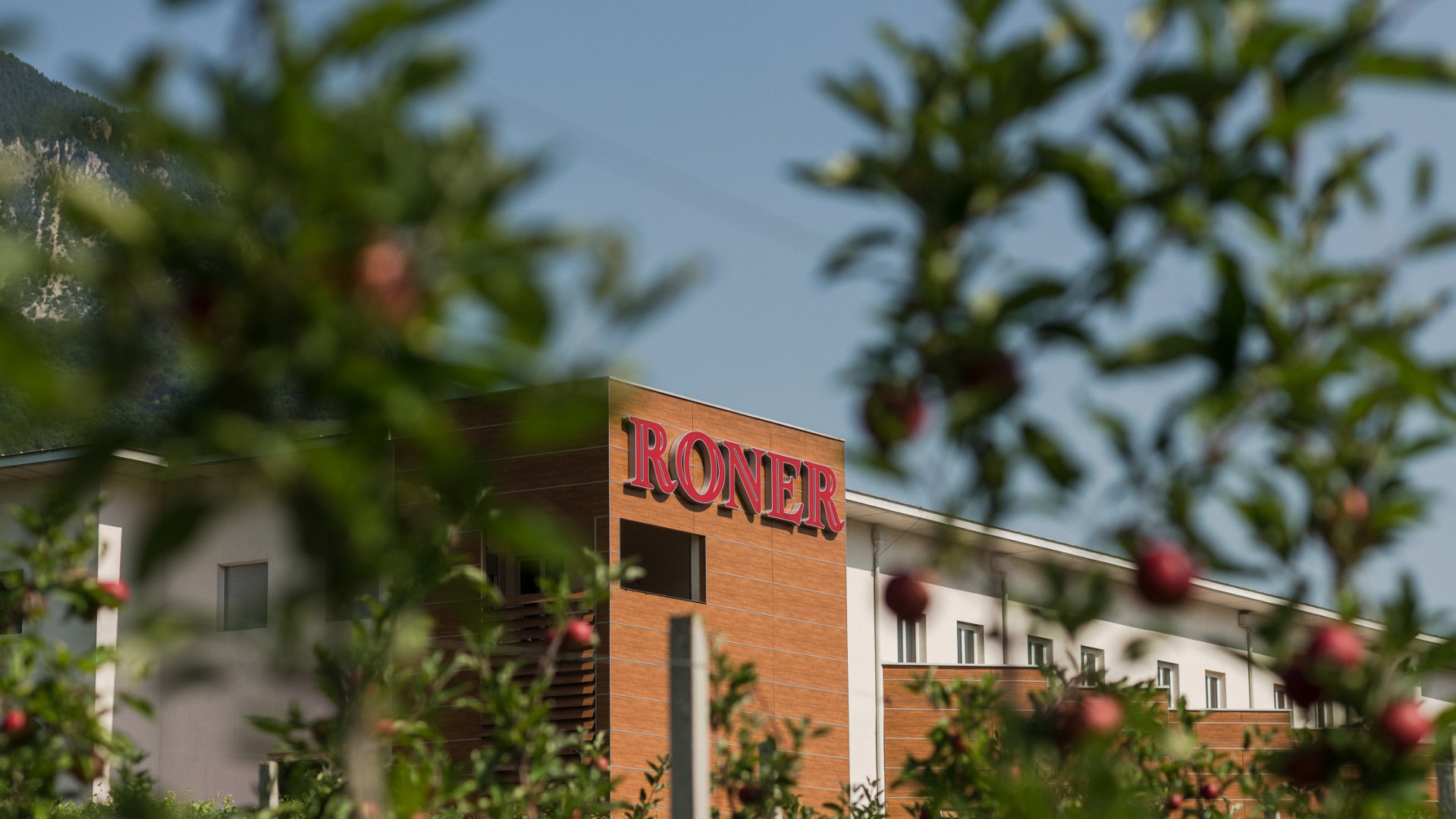 Distilleria Trentino Alto adige - qualità premiata