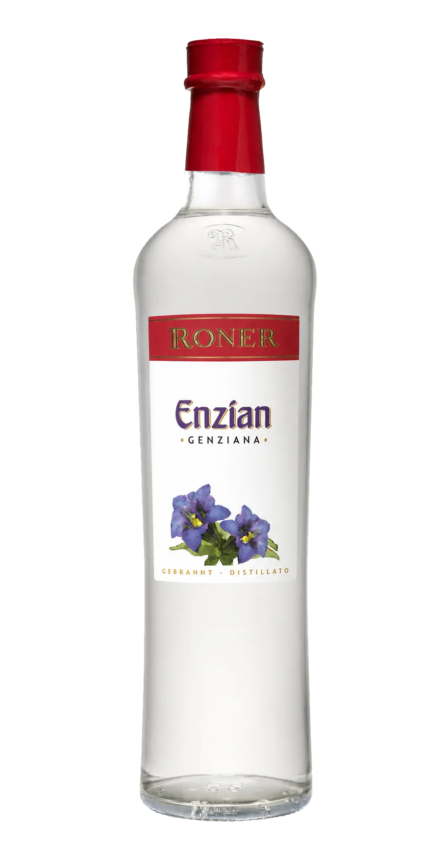 Enzian